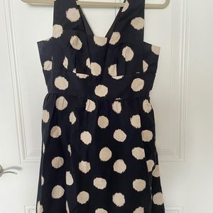 LOFT Dress Size 4P